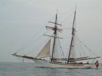 Hanse sail 2010.SANY3368